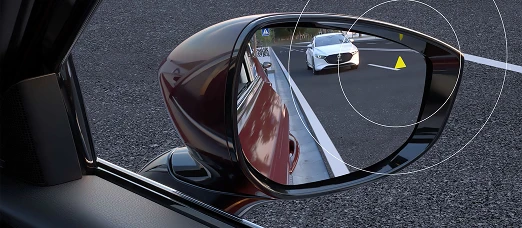 Blind Spot Monitoring and Vehicle Exit Warning